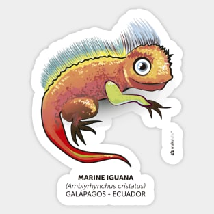 Galapagos Marine Iguana Sticker